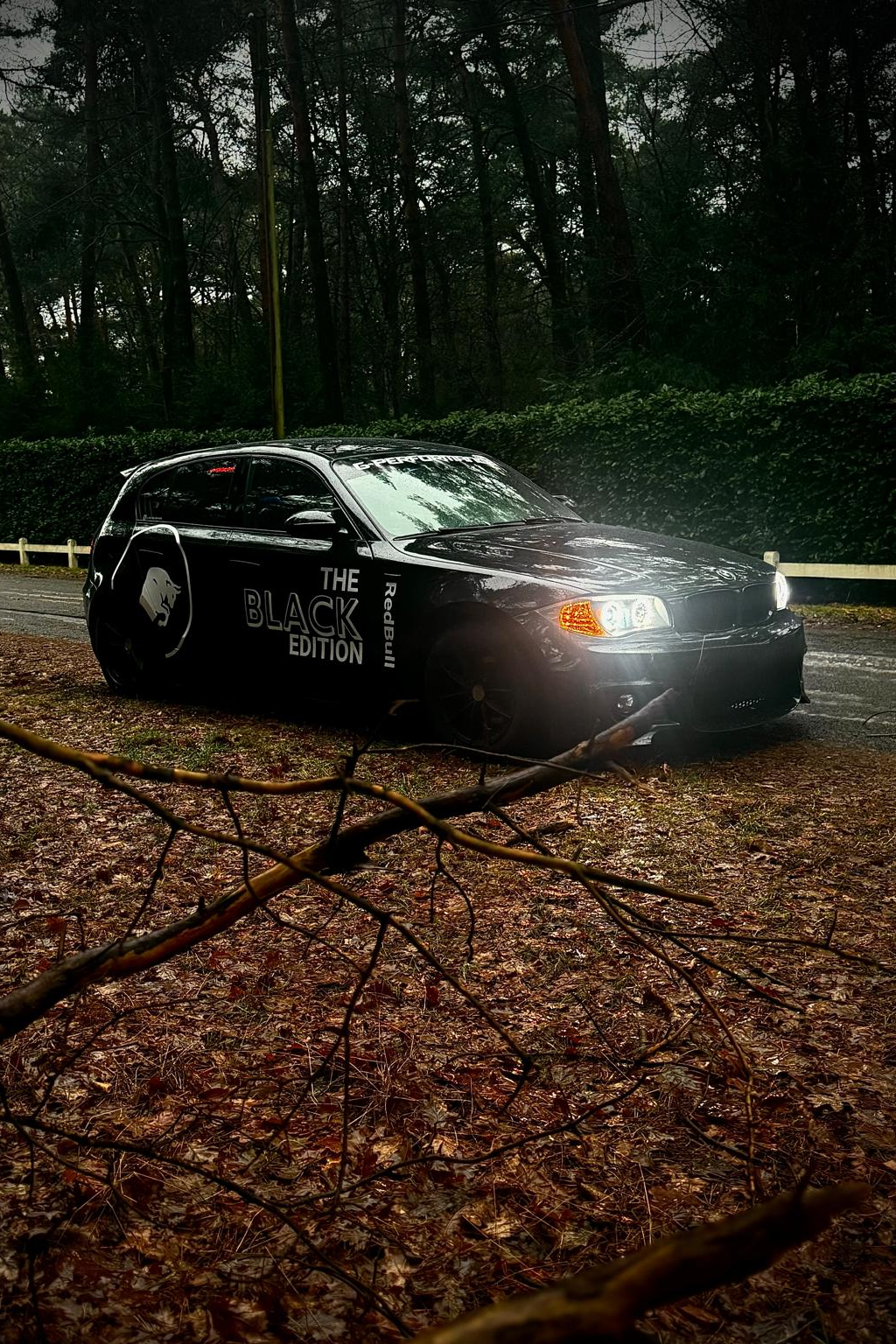 Signrush car wrap detail